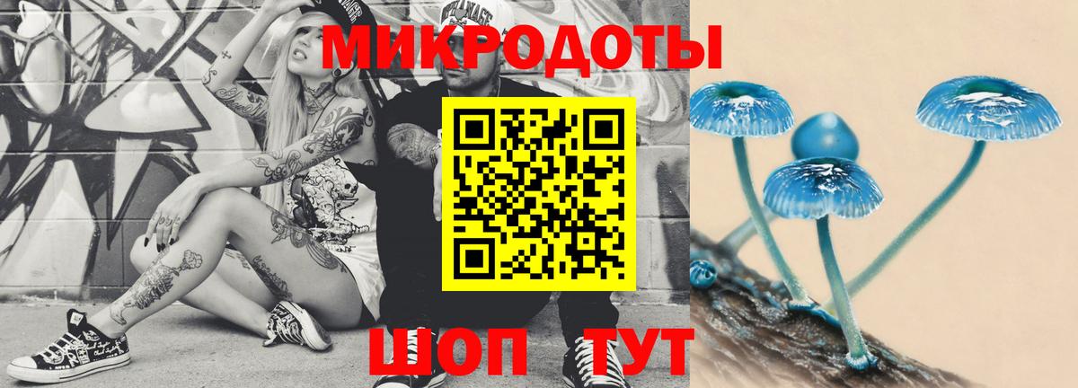 Галлюциногенные грибы Cubensis Златоуст
