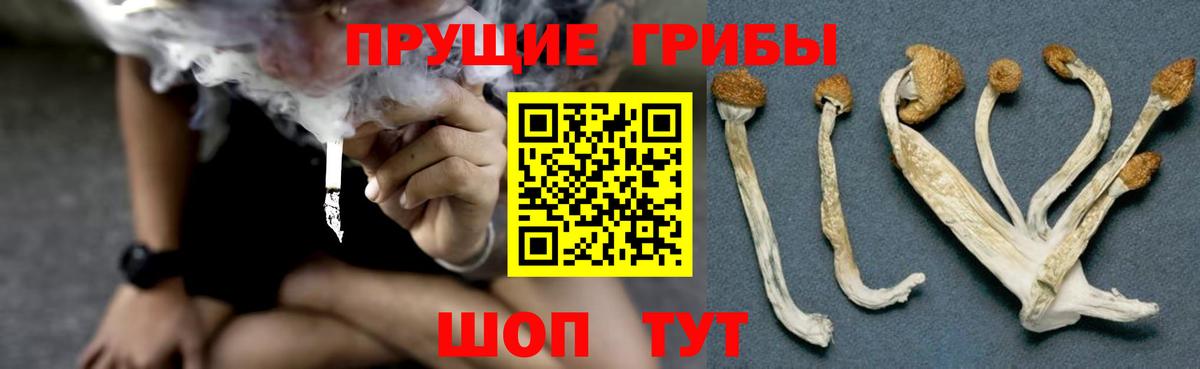Галлюциногенные грибы прущие грибы  Галлюциногенные грибы Psilocybine cubensis  Вход с VPN  Златоуст 